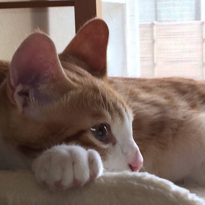 983f6db6 fd52 40ec 899b 69288a5b4eb8