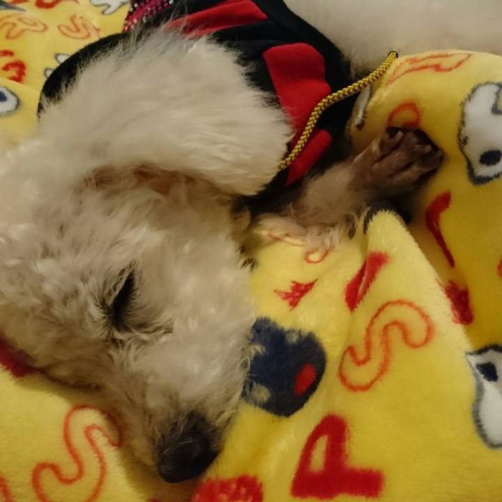 983f8fad 8663 402c b724 95f447f71862