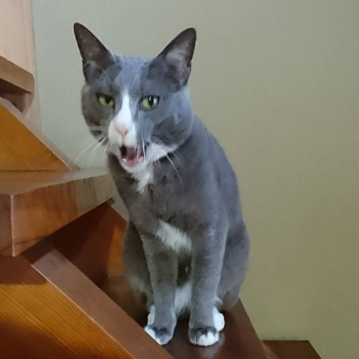 983fcf60 856b 4527 88d5 ceb387e4c6d0