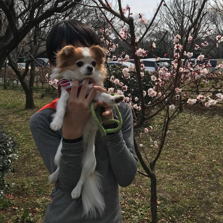 9840a29e 3ba5 49f8 8026 b21306054f05