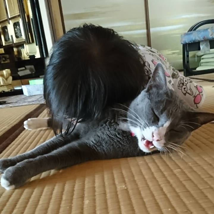 9840a69e ecd1 40cd bc52 c3f769e7c5b6