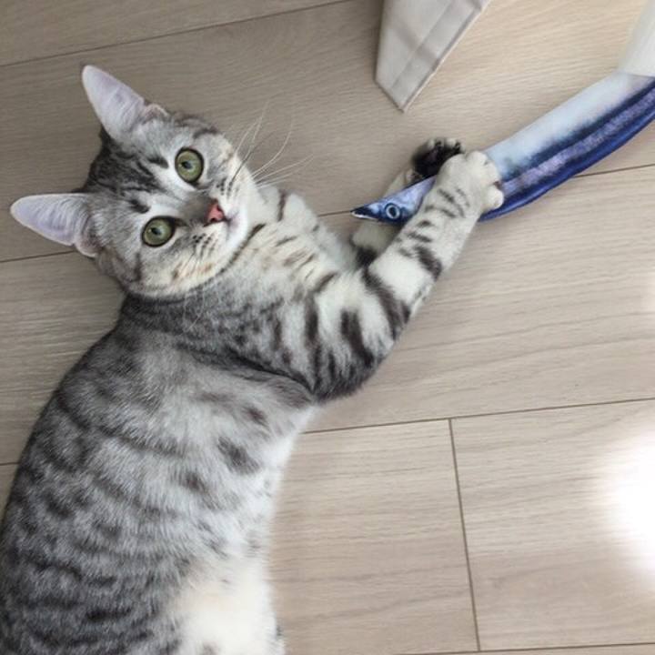 98411c48 b890 4871 96cb 8f14f61ac801