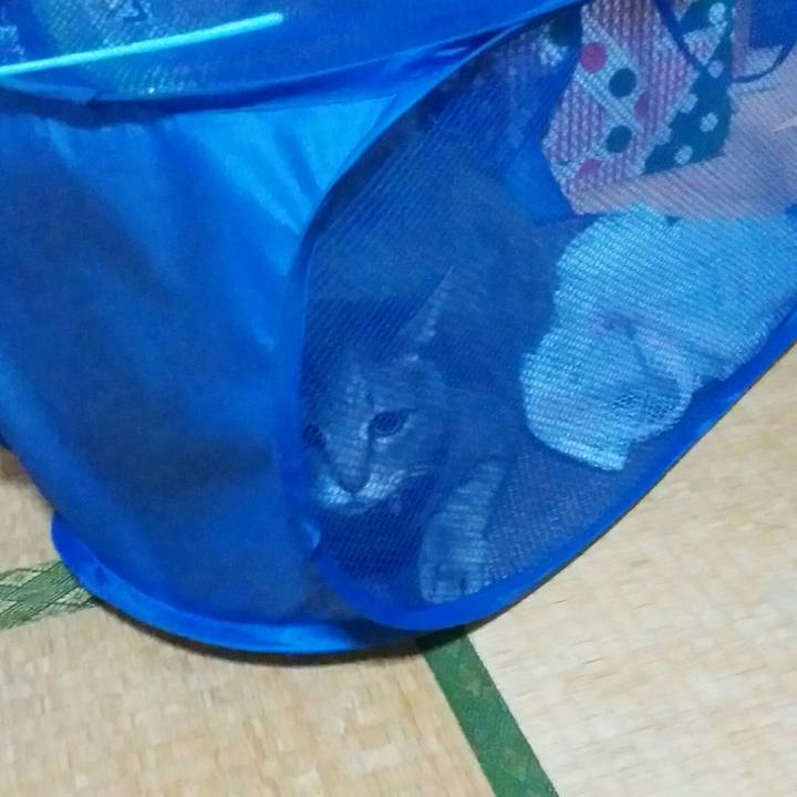 98419727 5781 4c82 b306 5582353d7f5f