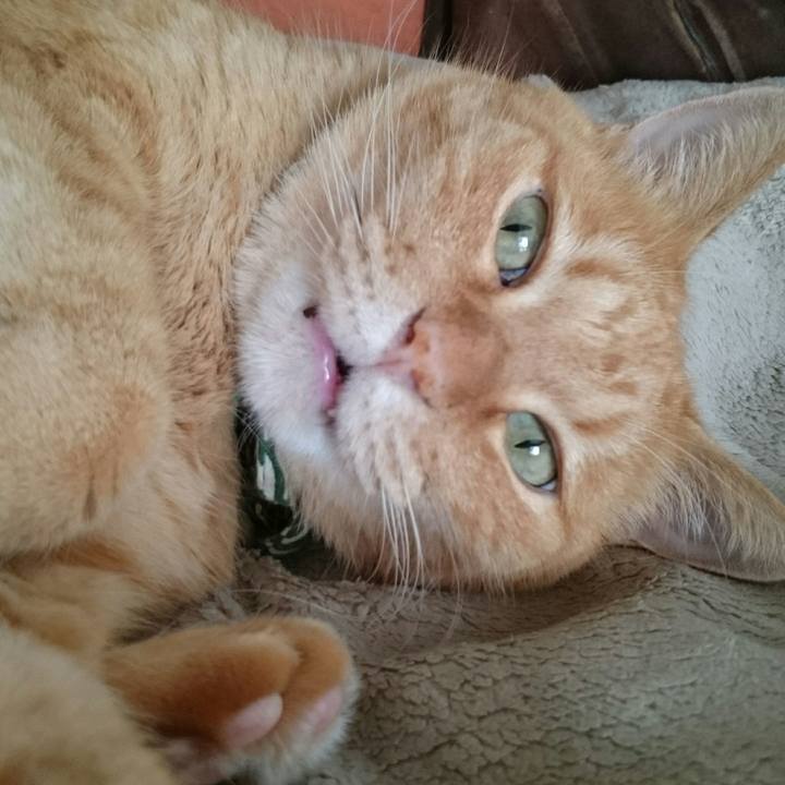 9841b952 3fd0 47f7 80d4 2ea7b9325b51