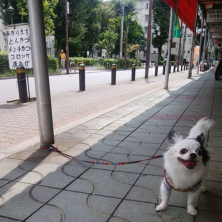 98422172 70e7 469f 81f2 fbe2a5a31c14