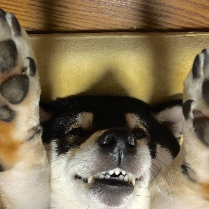 98426d74 599a 46ce a6ca 43c0701ea724