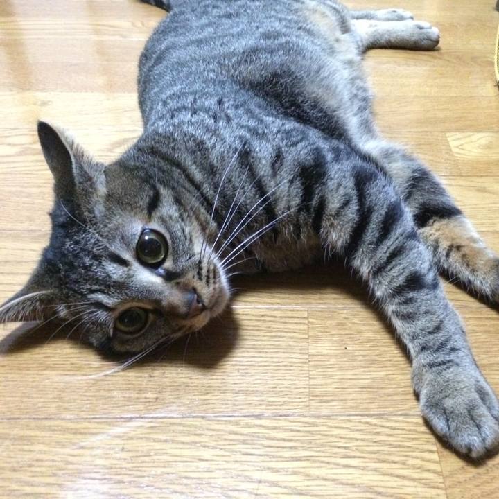 98427d88 551b 4587 b8d1 3b77b99fbc59