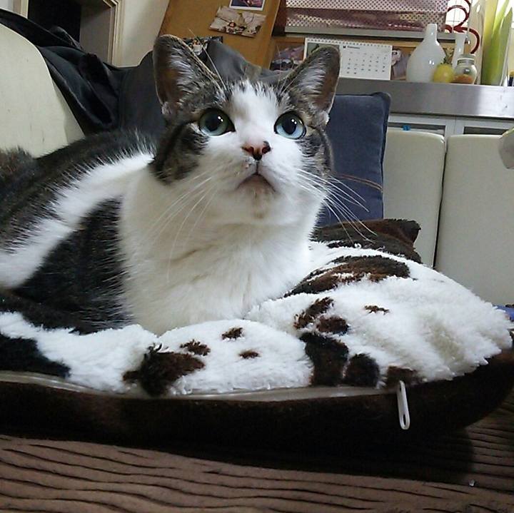 98430f1a d403 4229 847e c26d8ab1aabd