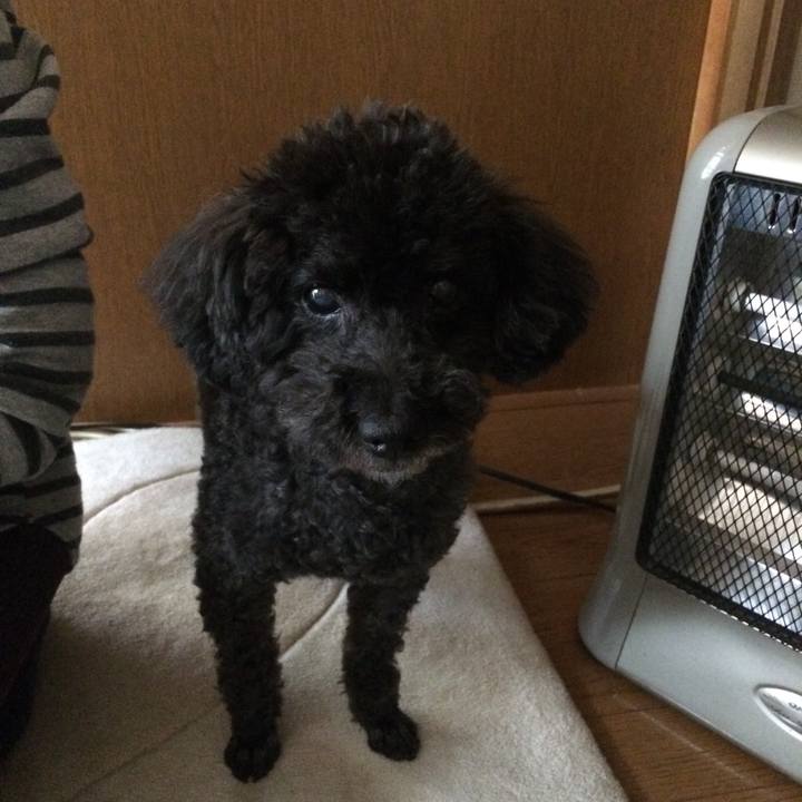 98432e4e 9a4f 43ef bc3f 1d0c6ba3b421