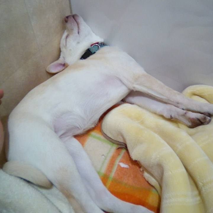 9843e100 ef94 440f 821e aff3290021a3