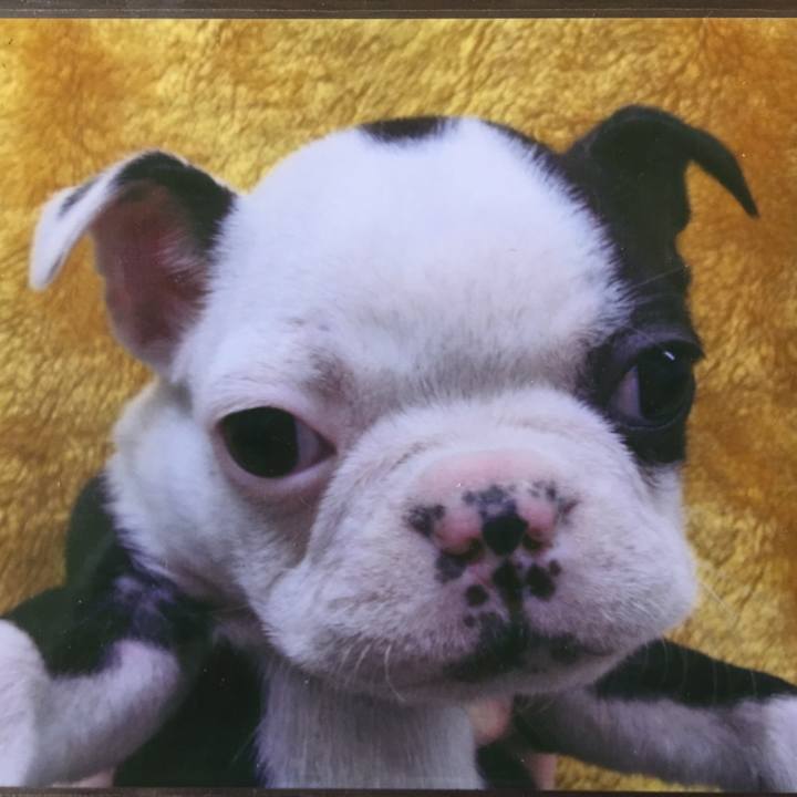 9844f04c 5add 4ab7 9928 8c2906ead3b6