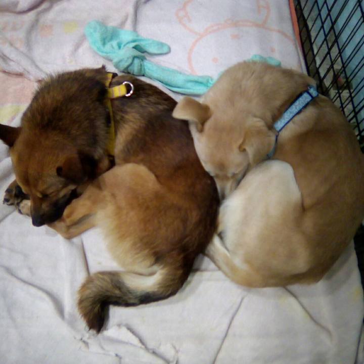 98451e72 1afe 48c3 b9b5 f020b5faf753