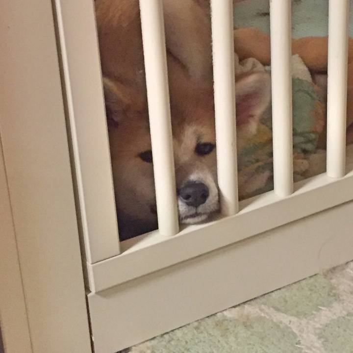 98457188 1cdf 4957 9e0c f222cded9c5a