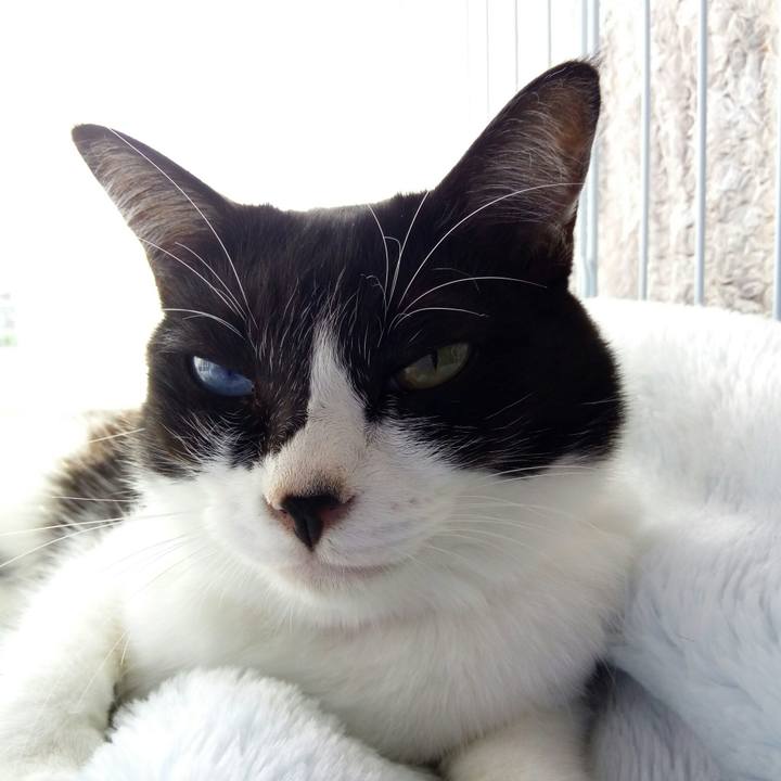 9845fe10 d1ca 4c99 97e3 0c1bb7e10dc3