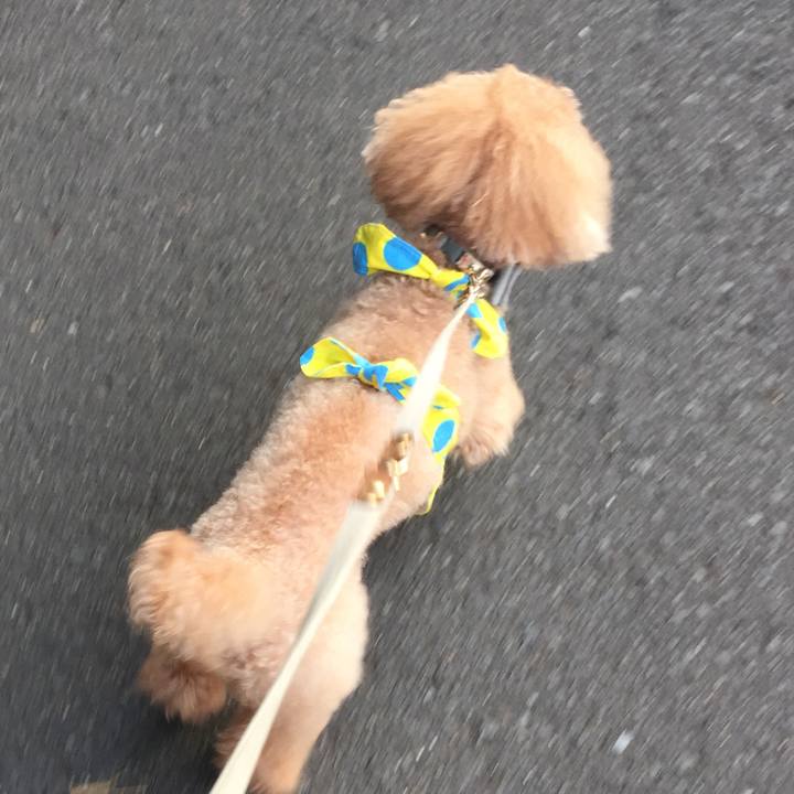 9846c684 0a97 43c7 ae7f 92dabd7f91c9