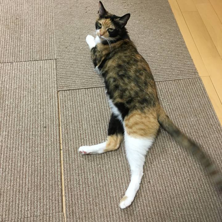 9847021b def8 413a aeff 4a9c6431db20