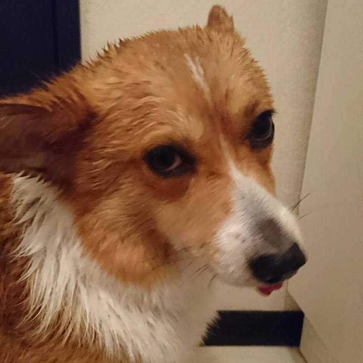 984876f2 7b21 4a32 a447 14df3335bd83