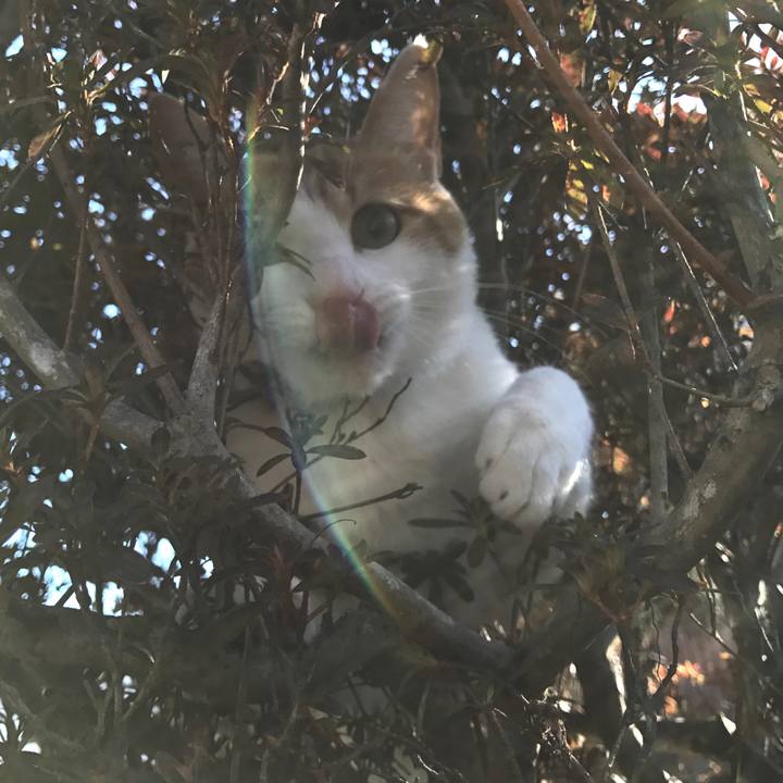 98488f65 21b0 4cb0 be7c 7a7589e5a361