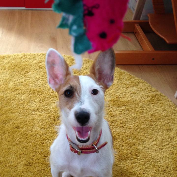 9848b2da fbe3 47d2 aef8 201eb1f5dc3b