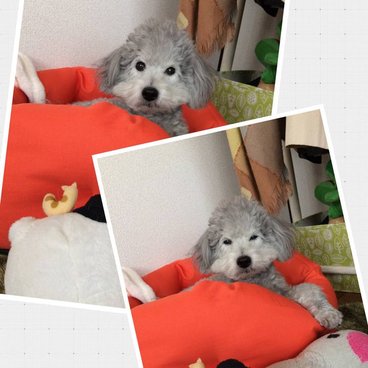 98492870 692e 4d62 b30f 59e431c74299