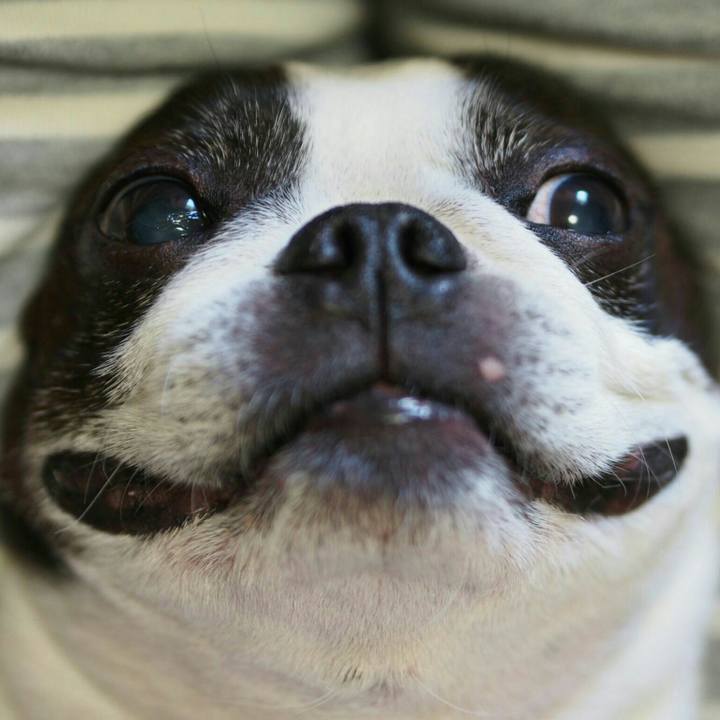 984a87d8 652f 4459 8b29 e4205e15aea5