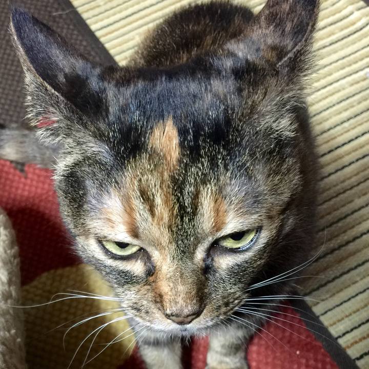 984aadf6 61e2 4d55 85db 65ee4f360a39