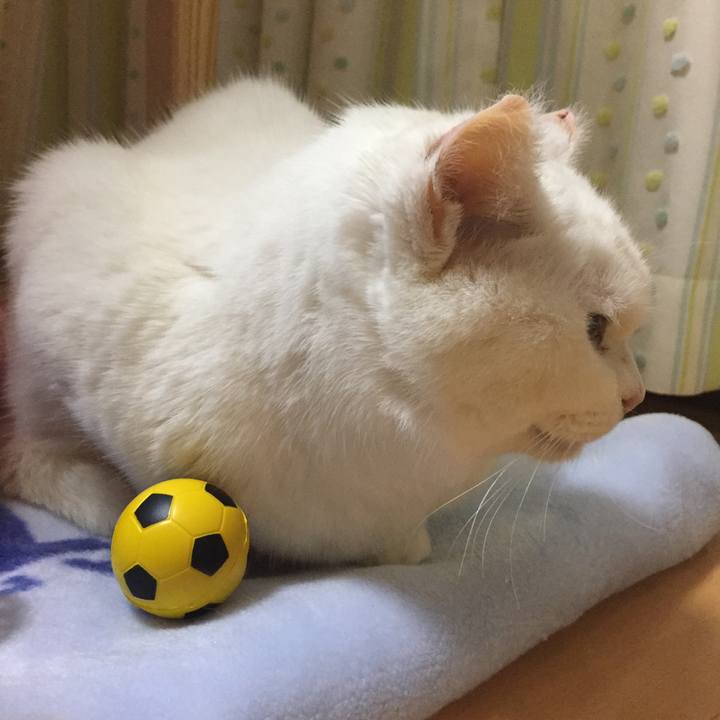 984abb44 3ae2 4da3 a46e 89877313fd96