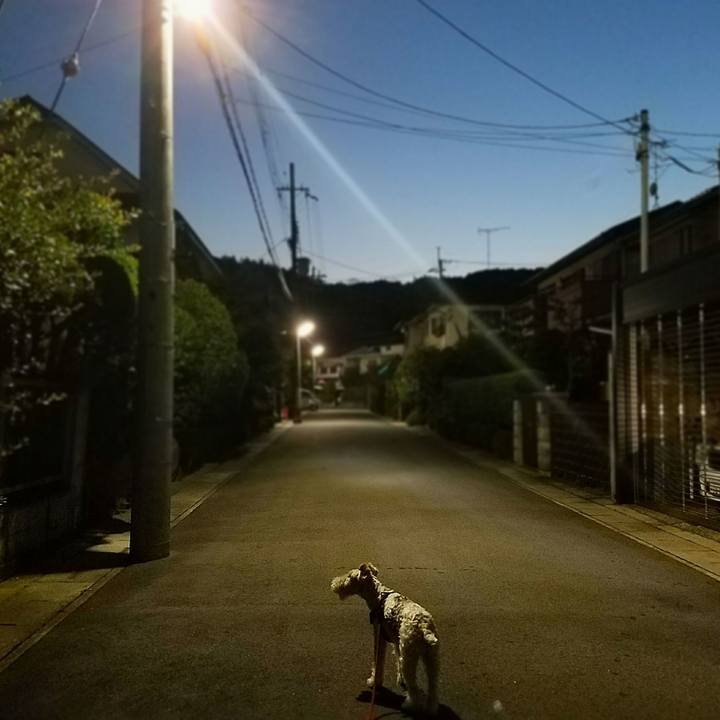 984b5eab 9eaa 41cb a275 93ad8f491f75