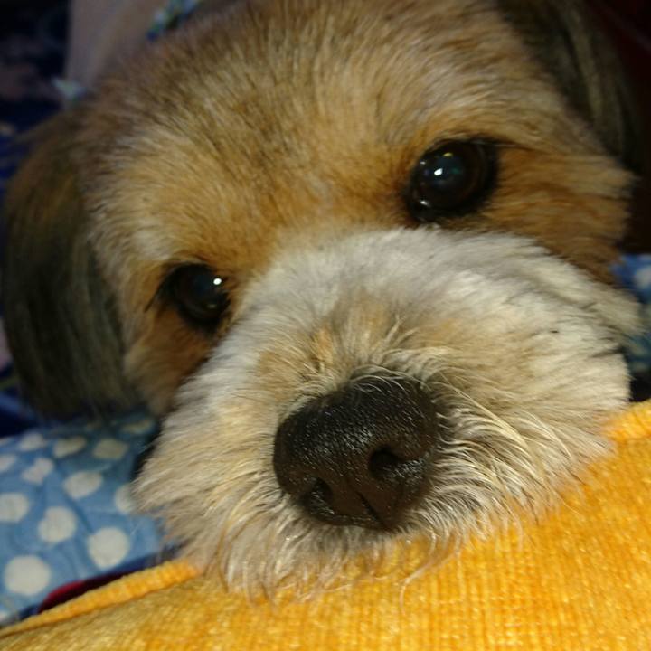 984b9281 51bc 4fff b966 587b09a3b98c