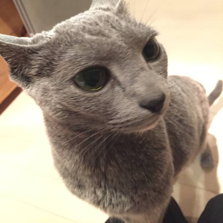 984ba66a 9b9b 4a3a 99e6 7149c6a9ad24