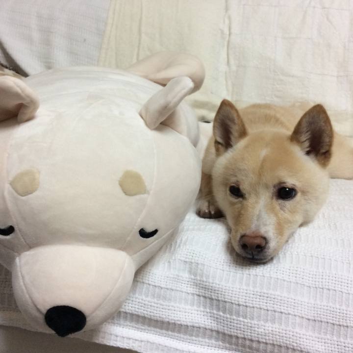 984bf1e1 5414 40a7 bbab 42662bb93aad