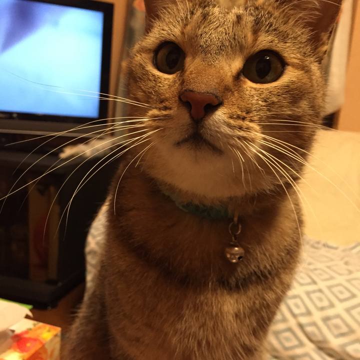 984c5f0f b63e 4cfe 8262 9915f48ed3b5