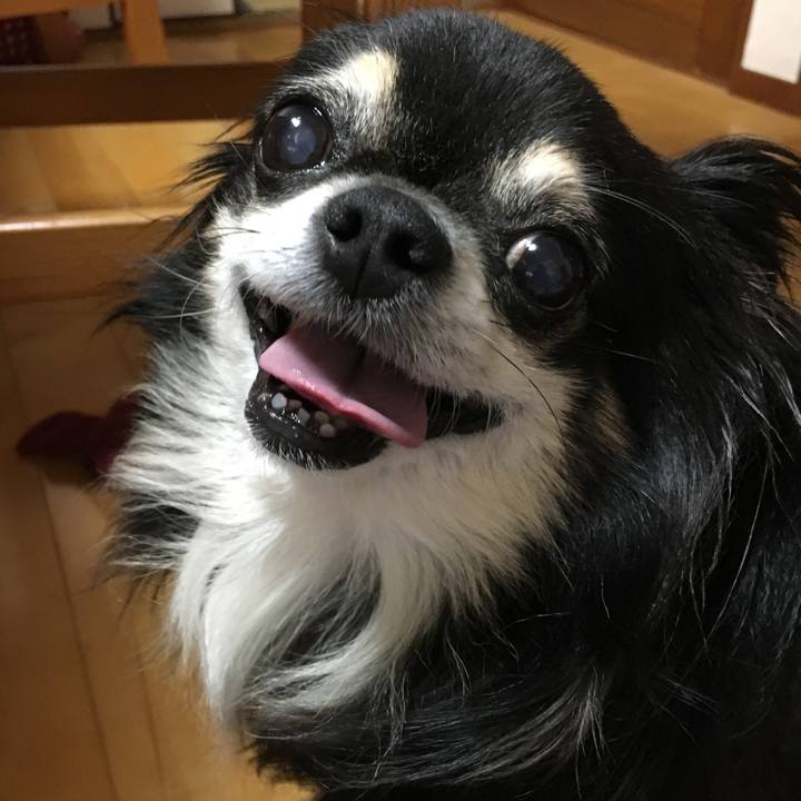 984d1b5c 2fbd 4c05 b0e8 1562d8a62103