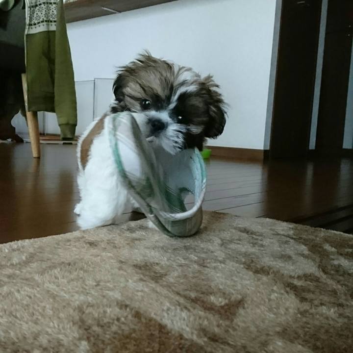 984d65fd 2c66 404d 907f 2e3fc0dc6a52