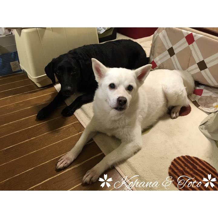 984de058 ee58 4a20 aa34 27eb8de15212