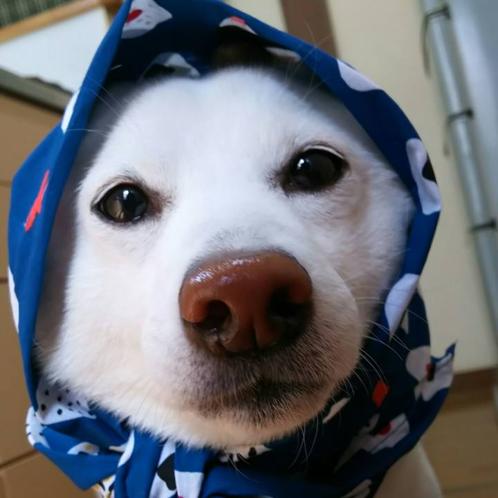 984df592 0dd3 433d 81b4 bc3e49a7f725