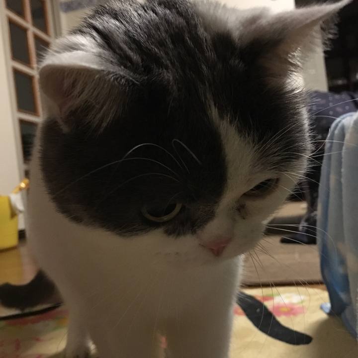 984e5efb 7d6a 4936 8559 c7f5b3b3d450