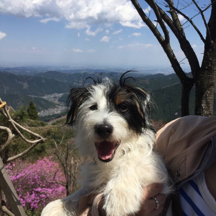 984e6dd7 33e3 4b59 911c cf5effa55117