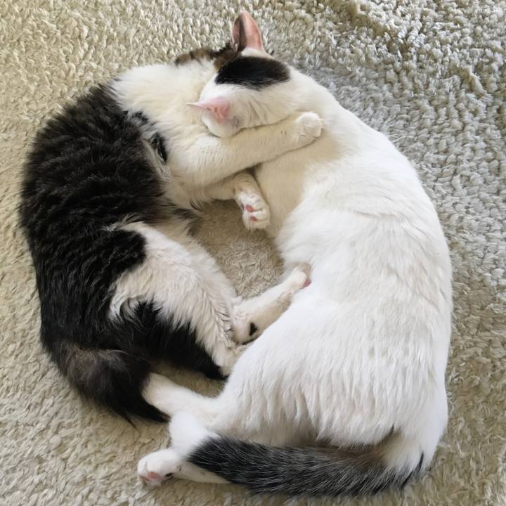 984e7a35 5c43 4851 bd67 ea5ec9303f68