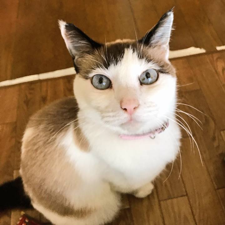 984ede56 5092 4d7f 8988 834ad7491924