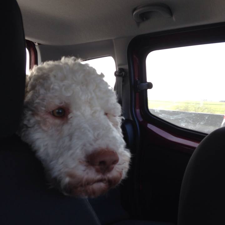 985119fc 34e0 4550 8659 ee0210a3e91d