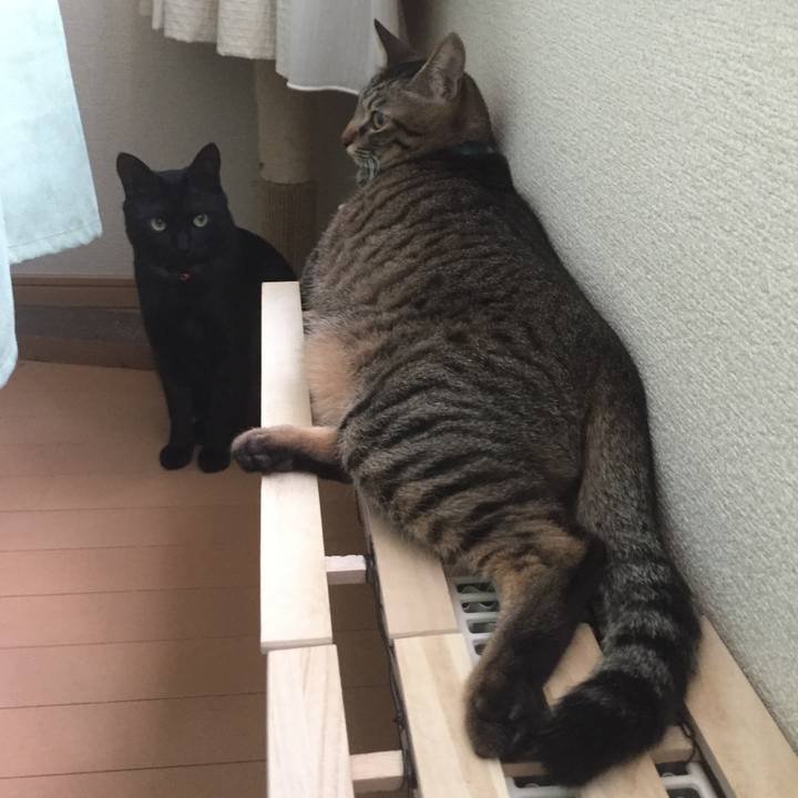 98513a9b b49b 48fe 83b7 7bcc9ea5a2f2