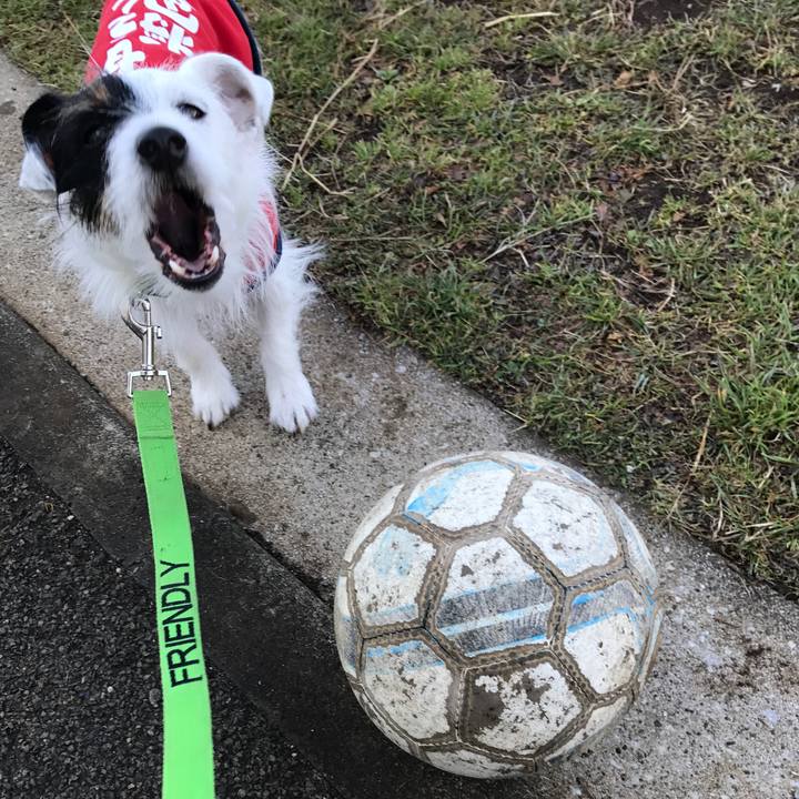 9852d8f8 c9d3 4668 9368 0456db57c5c8