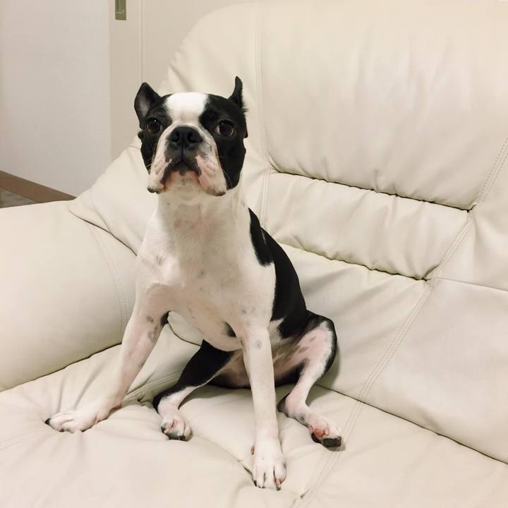 98532a03 5007 45a2 8990 a10a4e8b285b