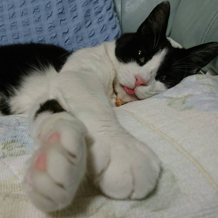 9853b8fb 9b1a 4b47 b6ad 188e194ff853