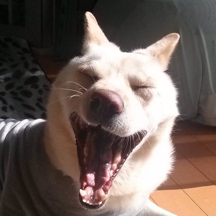 9853bb12 e72e 48d9 8d8f abea4c4a2569