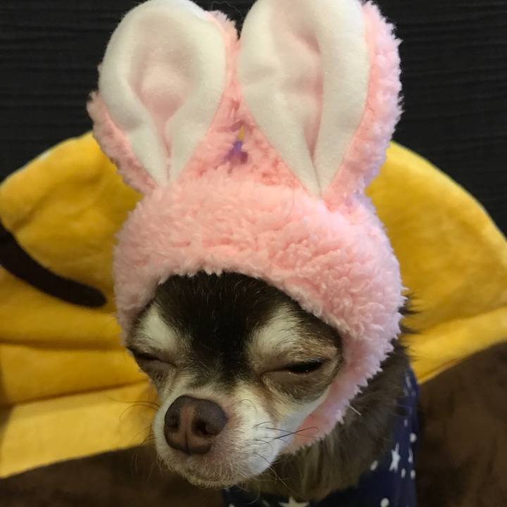 9854ee2f 0256 4cc7 af9d 62a1d82a384c