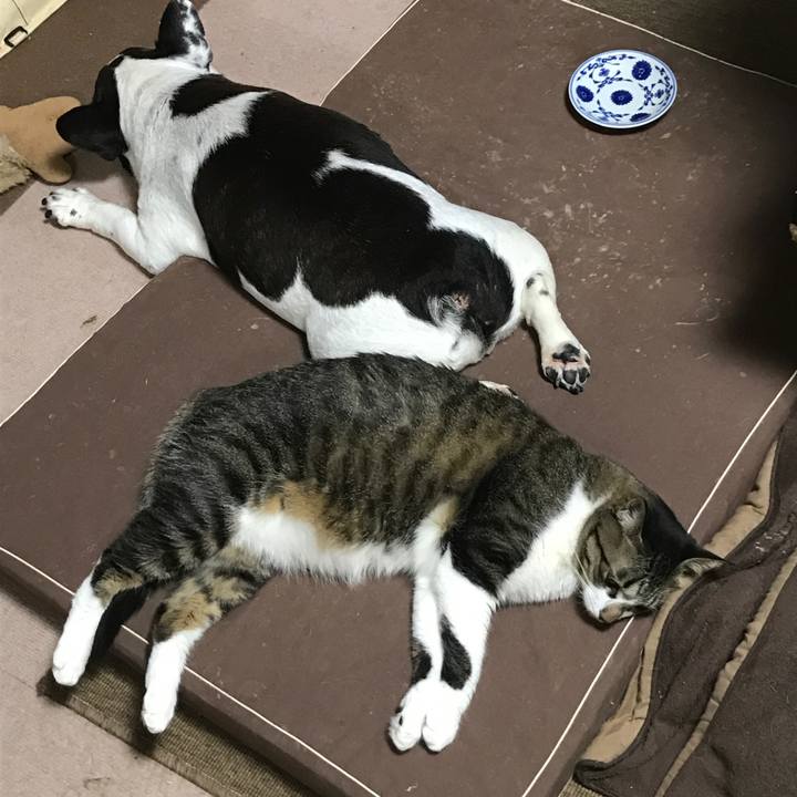 9854f995 cecf 489b b861 1486ec22101a