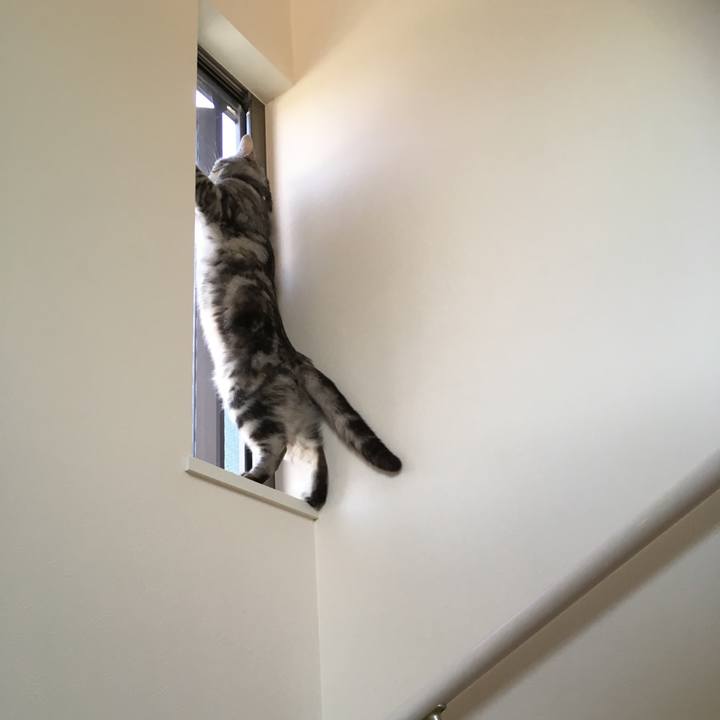 985510c7 dd9d 496f a2fa 0f2c0355ba53