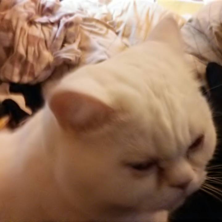 985511ac f5bb 4793 a4fd c1636901f80c